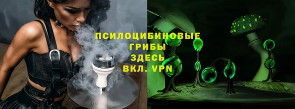 эйфоретик Арсеньев